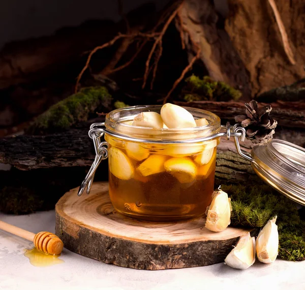 Miel Fermentada Frasco Sobre Fondo Los Orgánicos Árbol Naturaleza —  Fotos de Stock