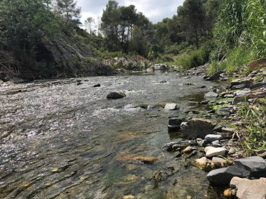 Kırsal kesimde küçük bir nehir