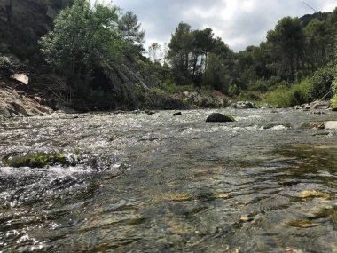 Kırsal nehir, ağaçlarla ve gökyüzüyle oynamaz.