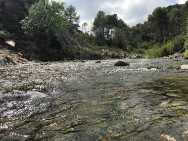 Kırsal nehir, ağaçlarla ve gökyüzüyle oynamaz.