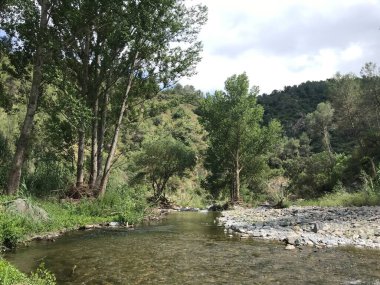 Kırsal kesimde güzel bir nehir, düzenleme yok, filtre yok.
