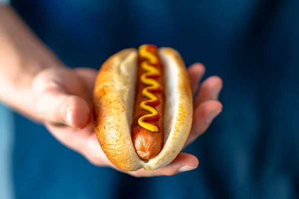 Amerikaanse Traditionele Fastfood Hotdog Met Vers Biologisch Broodbroodje Witte Tarwe — Stockfoto