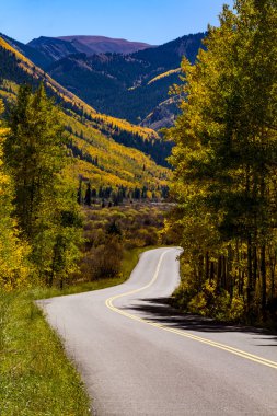 Colorado dağlarında sonbahar renkleri