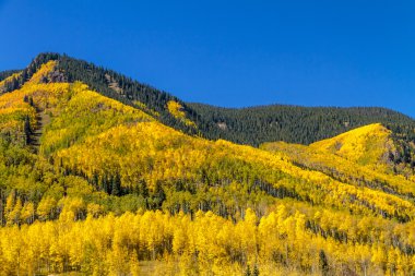 Colorado dağlarında sonbahar renkleri
