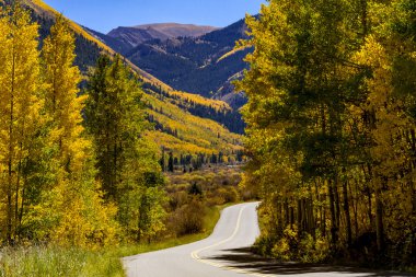 Colorado dağlarında sonbahar renkleri