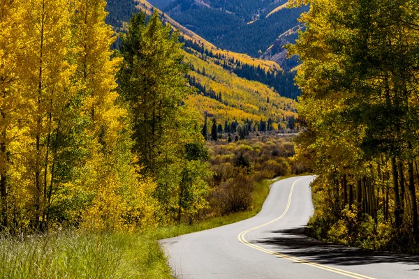 Fall Colors in Colorado Mountains — Stock Photo, Image