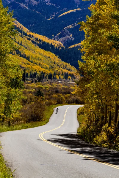 Herbstfarben in den Colorado-Bergen — Stockfoto