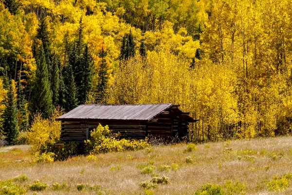 Colores de otoño en las montañas de Colorado — Foto de Stock