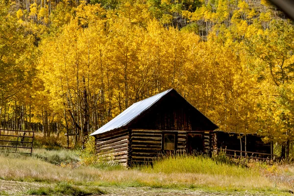 Herbstfarben in den Colorado-Bergen — Stockfoto