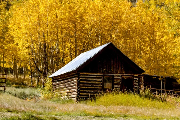 Colori autunnali nelle montagne del Colorado — Foto Stock