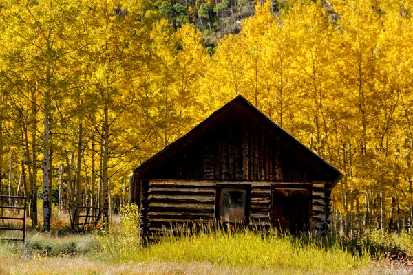 Colores de otoño en las montañas de Colorado — Foto de Stock