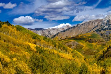 Colorado dağlarında sonbahar renkleri