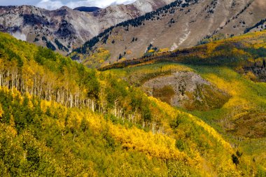 Colorado dağlarında sonbahar renkleri