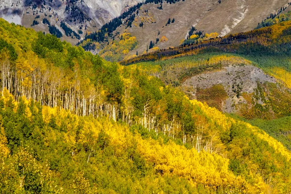 秋天的颜色科罗拉多山 — 图库照片