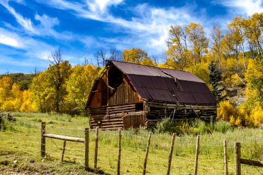 Colorado dağlarında sonbahar renkleri