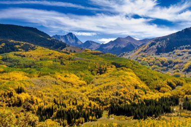 Colorado dağlarında sonbahar renkleri