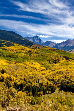 Colorado dağlarında sonbahar renkleri