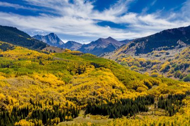 Colorado dağlarında sonbahar renkleri