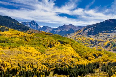 Colorado dağlarında sonbahar renkleri