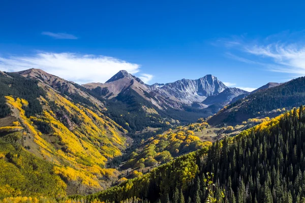 Colores de otoño en las montañas de Colorado — Foto de Stock