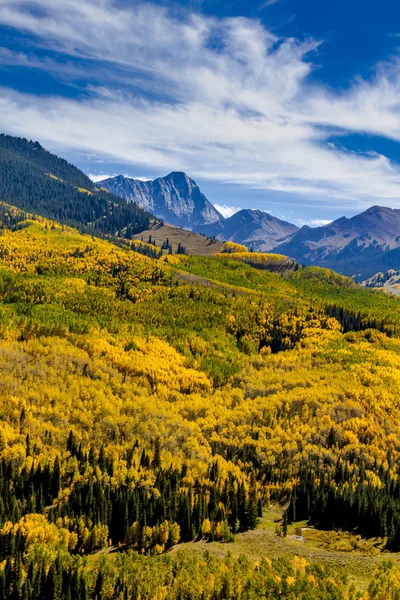 Colores de otoño en las montañas de Colorado — Foto de Stock