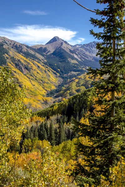 Herfst kleuren in Colorado bergen — Stockfoto