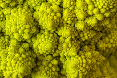 Makro romanesco brokoli başkanı