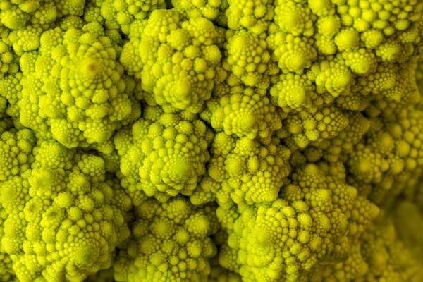 Макрос голови брокколі Romanesco — стокове фото