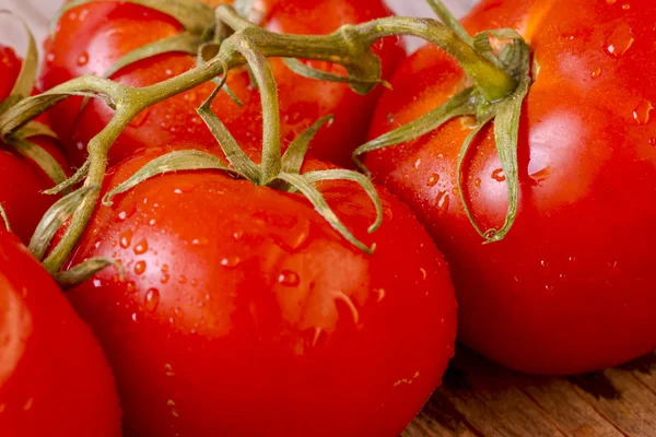 Red Tomatoes on the Vine — Stock Photo, Image