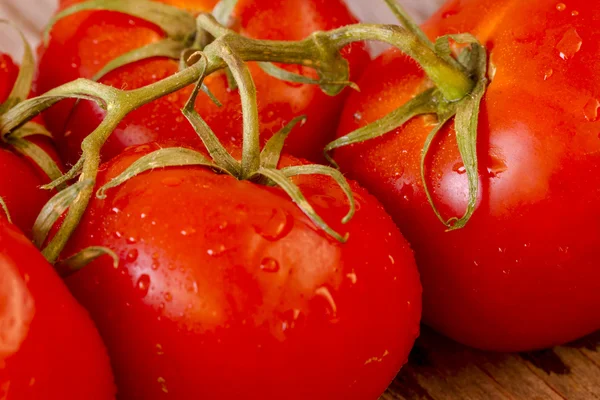 Červená rajčata na vinné révě — Stock fotografie