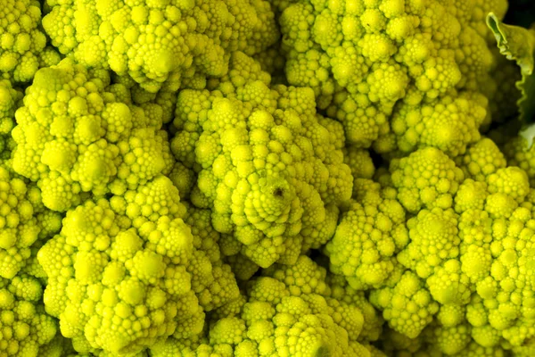 Macro di testa di broccoli romanesco — Foto Stock