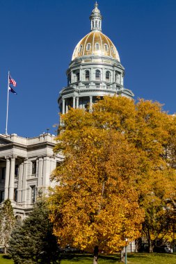 Denver Colorado State Capitol Binası