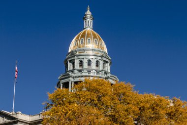 Denver Colorado State Capitol Binası