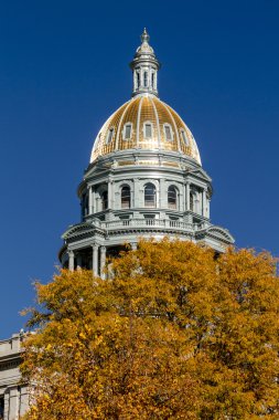 Denver Colorado State Capitol Binası