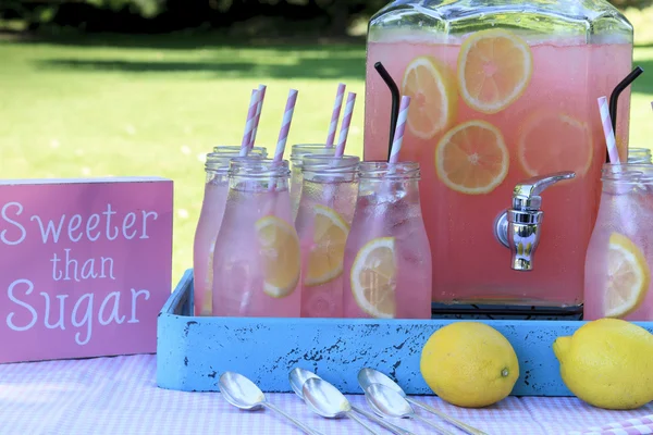 Limonada rosa no piquenique no parque — Fotografia de Stock