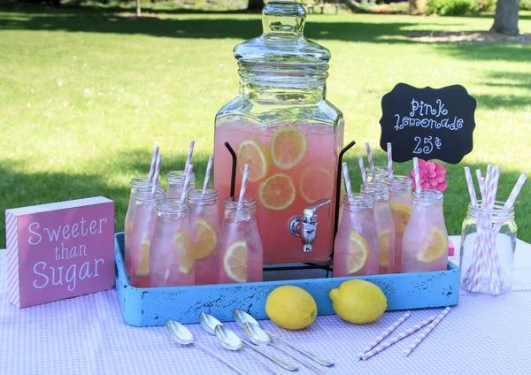 Rosa Limonade beim Picknick im Park — Stockfoto