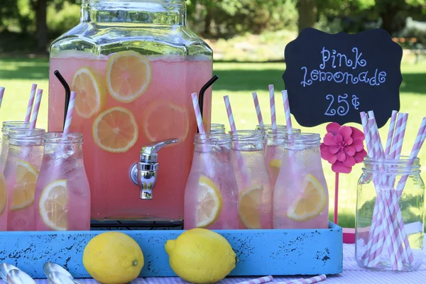 Pink Lemonade på picknick i parken — Stockfoto