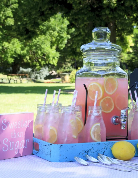 Розовый лимонад на пикнике в парке — стоковое фото