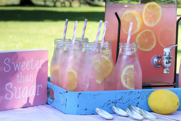 Розовый лимонад на пикнике в парке — стоковое фото