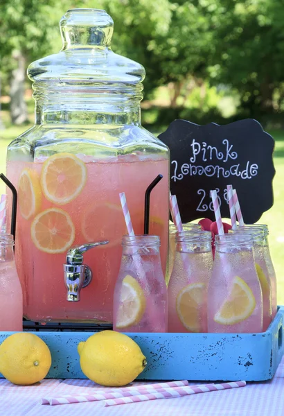 Limonada Rosa en el Picnic en el Parque — Foto de Stock