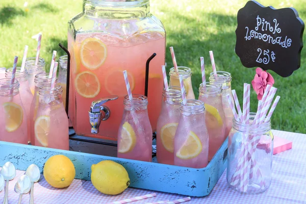 Pink Lemonade at Picnic in Park — Stock Photo, Image