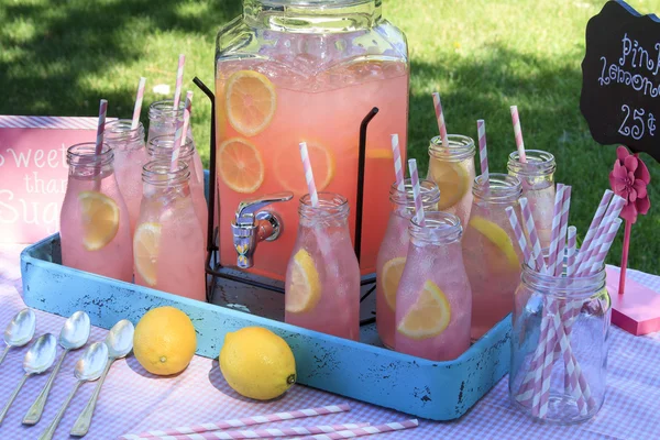 Pink Lemonade på picknick i parken — Stockfoto