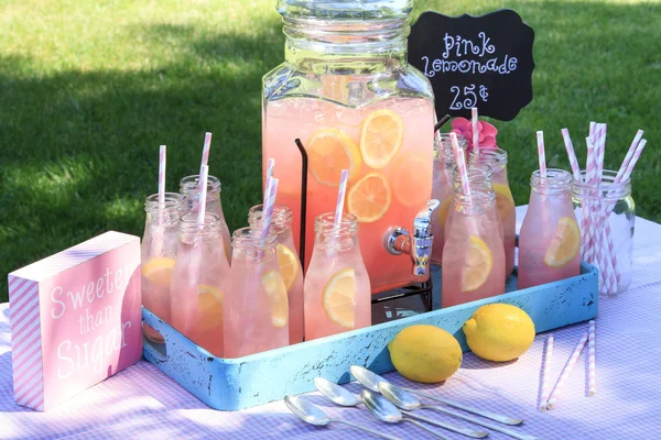 Rosa Limonade beim Picknick im Park — Stockfoto