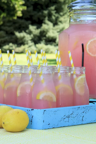Pink Лимонади на пікнік у парку — стокове фото