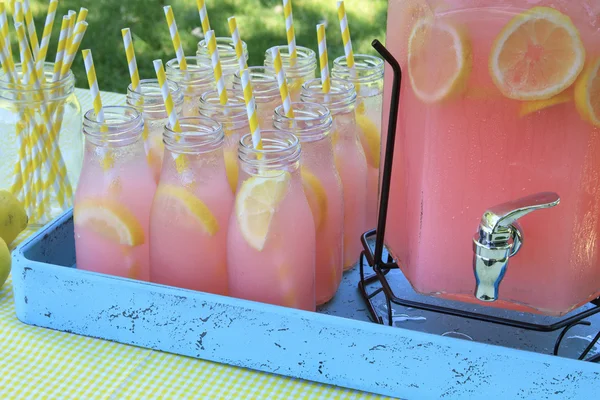 Limonada rosa no piquenique no parque — Fotografia de Stock