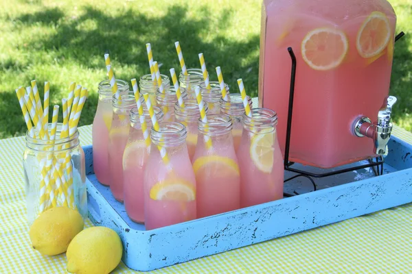 Pink Lemonade på picknick i parken — Stockfoto