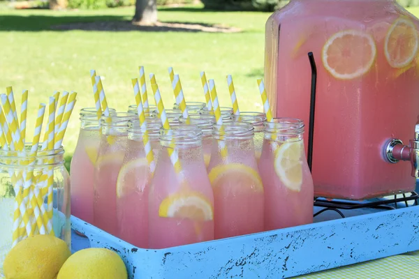 Limonada rosa no piquenique no parque — Fotografia de Stock