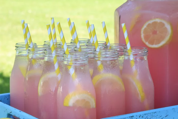 Rózsaszín limonádé-piknik a parkban — Stock Fotó