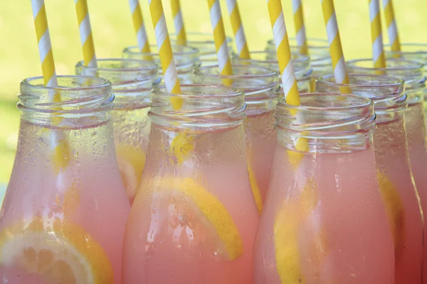 Roze limonade op picknick in het Park — Stockfoto