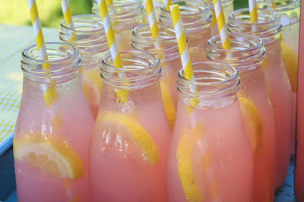 Limonada rosa no piquenique no parque — Fotografia de Stock